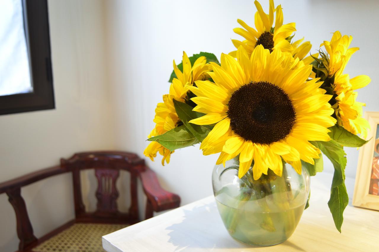 危地马拉安地瓜Casa Girasol住宿加早餐旅馆 外观 照片
